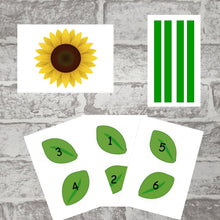 Load image into Gallery viewer, Sunflower Life Cycle Pack