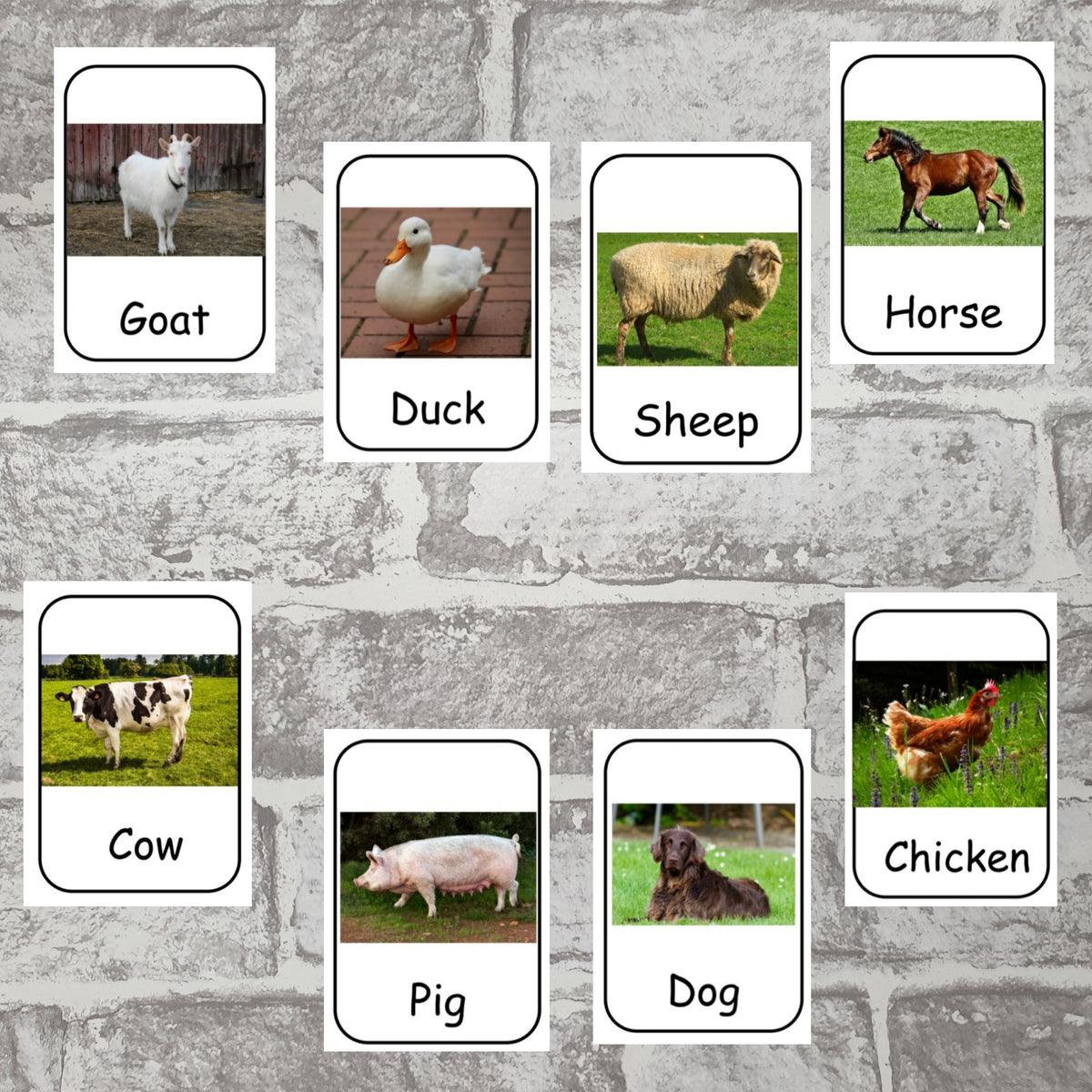 Farm Animal picture cards – The-Early-Years-Store