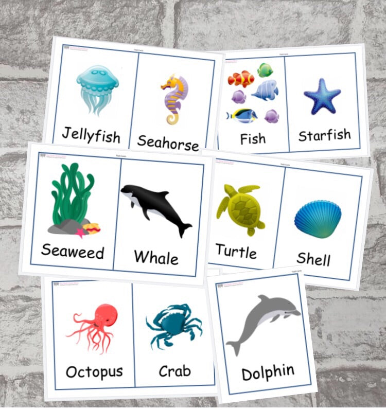 Under the Sea Flash Cards – The-Early-Years-Store